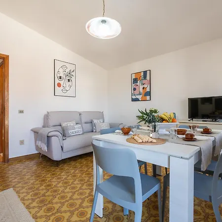 Conchiglie A Due Passi Dal Mare